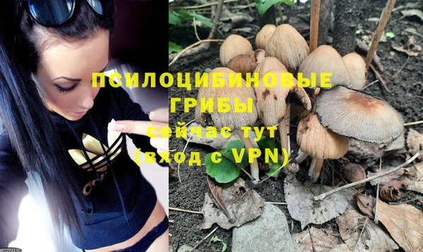 амф Няндома