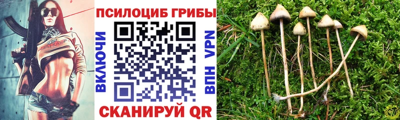 мега   даркнет сайт  Апрелевка  Псилоцибиновые грибы GOLDEN TEACHER 
